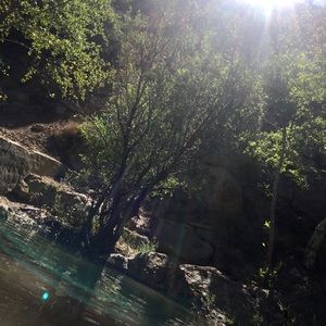 Meet your Posher, Martha